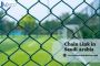 What are the types of Chain Link in Saudi Arabia?
