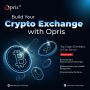 Crypto exchange development company