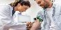 Get Affordable Iron Test Price with Fast Results at Max Lab