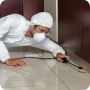 Pest Control in Avalon Pest Control in Avalon