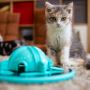 Smart Cat Toy Smart Cat Toy