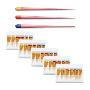 Dentsply Protaper Next Gutta Percha Points (Pack of 60)