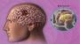 Brain Tumor Surgery Cost in India