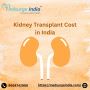 Kidney Transplant Cost in India
