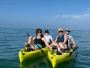 The Best Time of Year for Kayak Tours in Naples