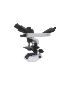 Shop Magnus Laboratory Microscopes: Enhance Your Research 