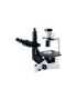 Buy Latest Digital Microscopes | Magnus Opto