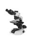 Magnus MLXI Plus | Advanced Optical Inspection