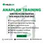 Anaplan Level 1 Certification