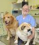 Best vet in Mississauga