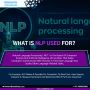 Find AI/ ML Solutions for your business