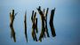 Grief Counseling New York