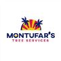 Reliable Tree Removal Service in Phoenix, Arizona