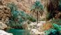 Travel company in Jabreen Castle