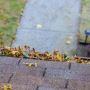 Keep Your Home Safe & Dry with Professional Gutter Cleaning 