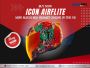 Buy now Icon Airflite MIPS Blegh Red Helmet Online in the UK