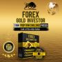 Forex Gold Investor Forex Gold Investor