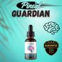 The Pineal Guardian