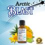 Arctic Blast