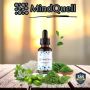 MindQuell MindQuell