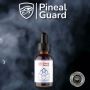 Pineal Guard Pineal Guard
