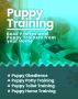 Dog training services in Noida 