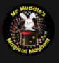 Looking for a Unique Children's Entertainer in Hampshire?