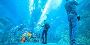 Underwater Aquarium Dubai | Dubai Aquarium