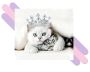 Cats For Sale | Kittens For Sale Online | Buy a Cat Online