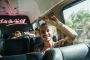 Relax & Ride: Premium Shuttle from Jaco to San Jose!