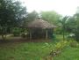 Best Mysore to Coorg Taxi Service | Mysore Cabs