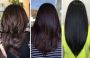 Explore the Latest Hair Cut Styles for Every Look