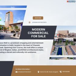Omaxe Mall Dwarka: A Commercial Hub with Premium Facilities