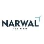 Data Warehouse Solutions - Narwalinc