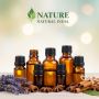 Inquiring About Bulk Carrier, Wholesale Aroma, and Fragrance