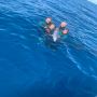 Premier Spearfishing & Freediving Gear | Neptonics