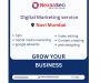 Professional Digital Marketing Services in Qatar with Result