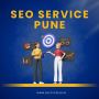 Seo expert pune
