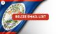 Secure the Best Belize Email List for Your Business