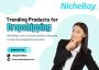 Master Dropshipping with Expert Tips from NicheBay Master Dropshipping with Expert Tips from NicheBay