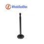 BRIGGS & STRATTON 260961 Engine Intake Valve
