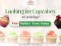 Looking for Cupcakes in Cambridge? Visit Nidha's Treat Today