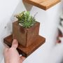 Square Floating Shelves That Redefine Wall Décor