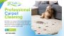 Affordable & Professional Carpet Cleaning in Sutherland 