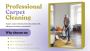 Say Goodbye to Stains – Carpet Cleaning in Campbelltown