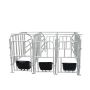Galvanized Pig Sow Gestation Crate