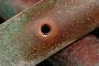 Durable In-Pipe Repairs With Nuline By Nuflow