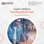 Unlock Your Web Potential: Expert Webflow Development