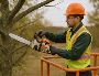 Tree Service OKC Affordable and Reliable Tree Care Solutions