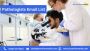 Engage Pathologists with a Verified Email List in USA